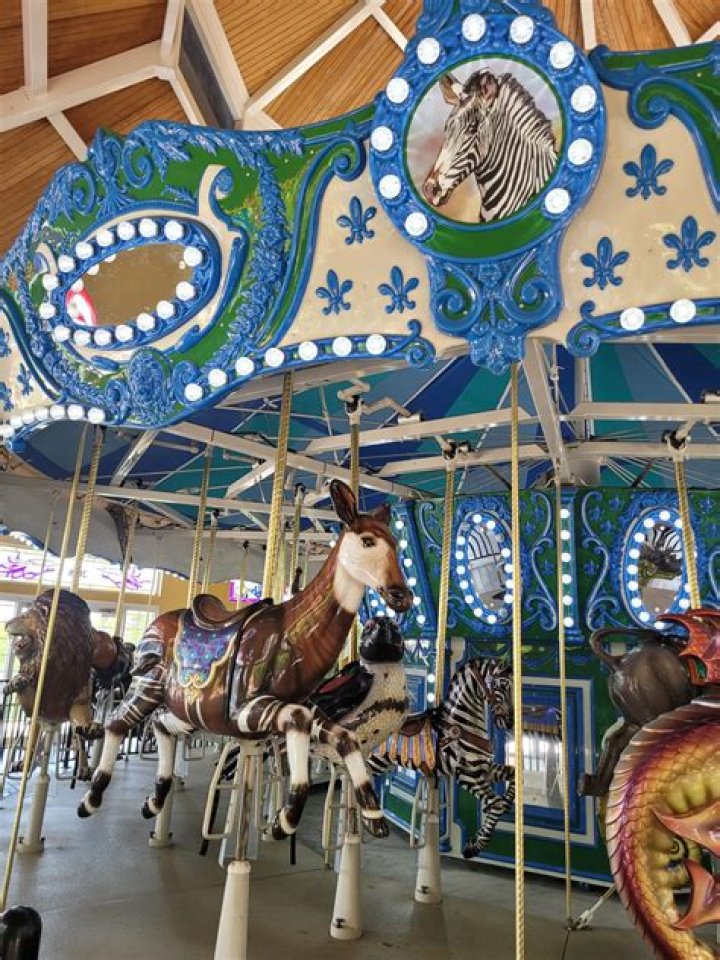 Carousel at Turtle Back Zoo YouTube