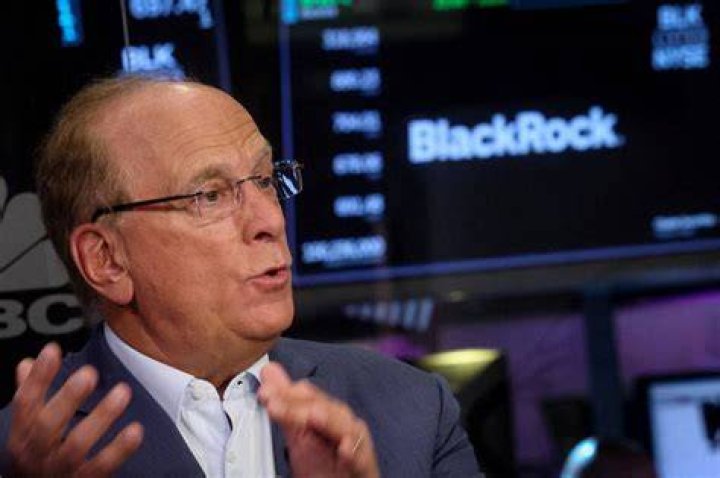 CEO da BlackRock elogia o Bitcoin e diz que ele pode ser uma reserva de