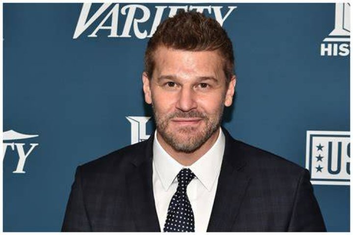 David Boreanaz's Marital Status Revealed