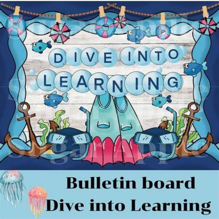 Dive Into The World Of Comments