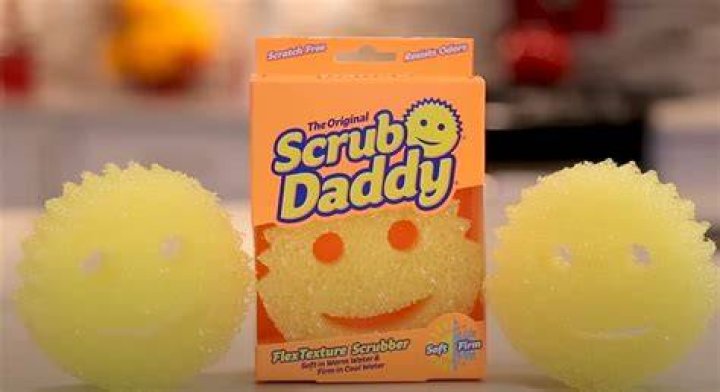 Scrub Daddy Net Worth 2022 What Happened After Shark Tank Insider