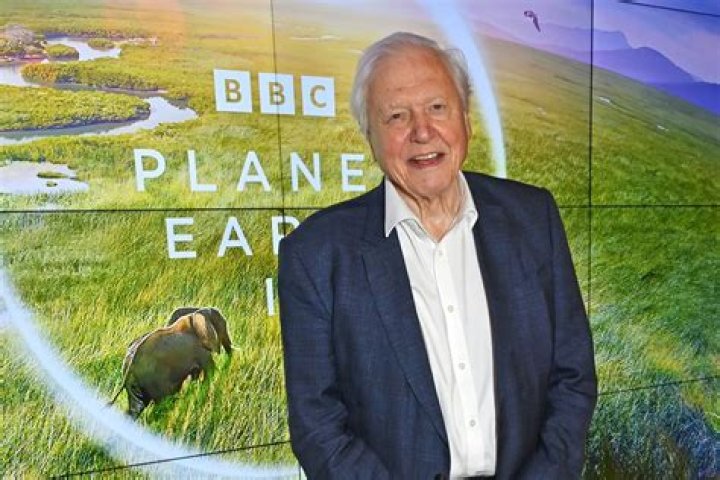 Sir David Attenborough's Net Worth And Impact