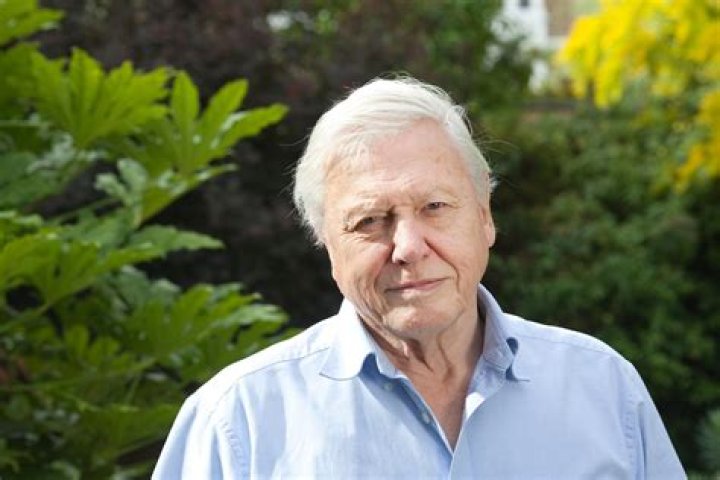 Sir David Attenborough A national treasure BBC Wildlife Discover