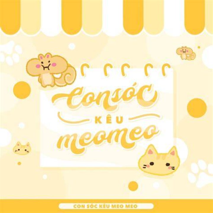 soc feb 2020