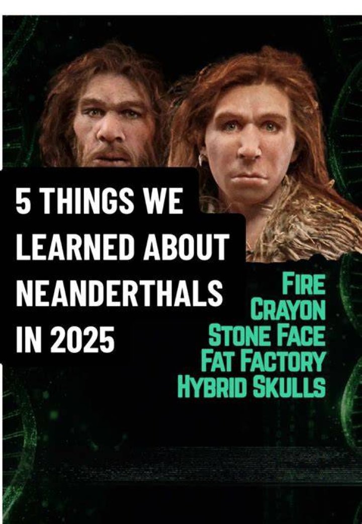 Surprising Discoveries And Brilliant Strategies