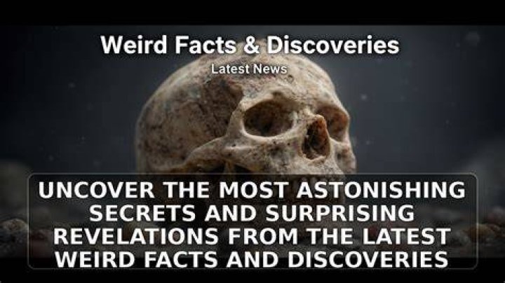 Uncover Surprising Insights And Discoveries!