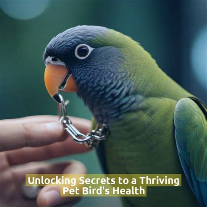 Unlocking The Secrets To Unparalleled Pet Care