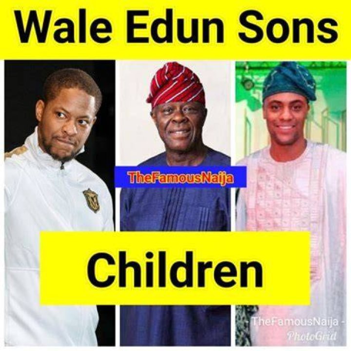 Unveiling The Enigma Of Wale Edun's Age: Discoveries And Insights Unfold