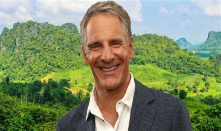 Wil Bakula Net Worth. How Much is Bakula’s Wealth? Xivents